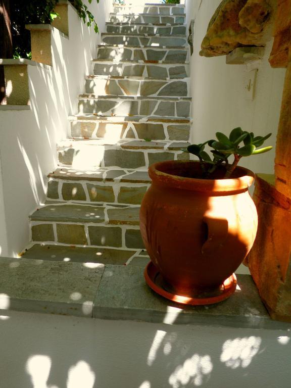 Dimitra Studios Кастраки Экстерьер фото